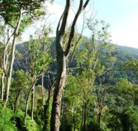 Smiths Track Barron Gorge National Park - Northern Rivers Accommodation