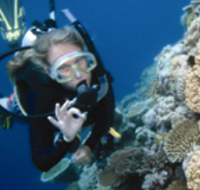 Moore Reef Dive Site - Northern Rivers Accommodation
