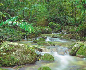 Mossman Gorge, Daintree National Park - Northern Rivers Accommodation 0