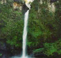 Nandroya Falls Circuit Track Wooroonooran National Park - Northern Rivers Accommodation