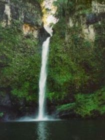 Nandroya Falls Circuit Track, Wooroonooran National Park - Northern Rivers Accommodation 0