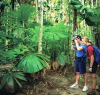 Mount Sorrow Ridge Trail Daintree National Park - Northern Rivers Accommodation