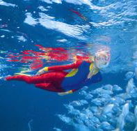 Great Detached Reef Dive Site - Northern Rivers Accommodation