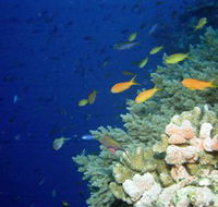 The Three Sisters Dive Site - Northern Rivers Accommodation