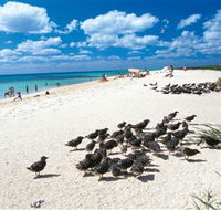 Michaelmas and Upolo Cays National Park - Northern Rivers Accommodation