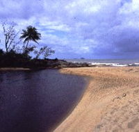 Russell River National Park - Northern Rivers Accommodation