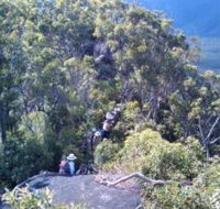 Mia Mia State Forest - Northern Rivers Accommodation
