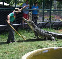 Snakes Downunder Reptile Park and Zoo - Northern Rivers Accommodation