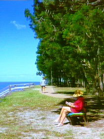 Melaleuca Track - Northern Rivers Accommodation 0