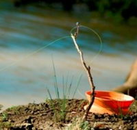Charleville - Mangalore Warrego River Fishing Spot - Northern Rivers Accommodation