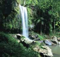 Curtis Falls Joalah Section - Northern Rivers Accommodation