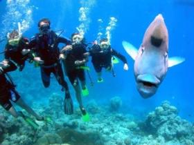 Gotham City Dive Site - Northern Rivers Accommodation 0