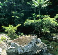 Conway State Forest - Northern Rivers Accommodation