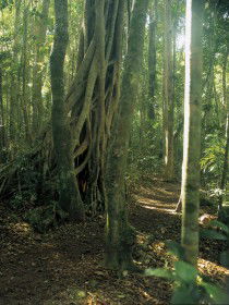  Northern Rivers Accommodation
