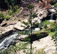 Banksia Track and the Boardwalk - Northern Rivers Accommodation