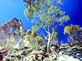 Mount Moffatt Section - Carnarvon National Park - Northern Rivers Accommodation 0