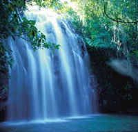Zillie Falls - Northern Rivers Accommodation