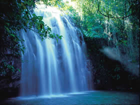 Zillie Falls - Northern Rivers Accommodation 0