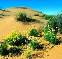 Simpson Desert National Park - Northern Rivers Accommodation