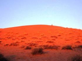 French Line - Simpson Desert - Northern Rivers Accommodation 0