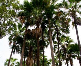 Palm Tree Creek - Northern Rivers Accommodation 0