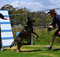 Lawdogs Australia