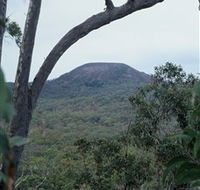 Mount Fox - Northern Rivers Accommodation