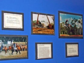 Town Hall Photographic Display - Northern Rivers Accommodation 0