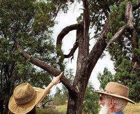 Charleville - Outback Native Timber Walk - Northern Rivers Accommodation 0