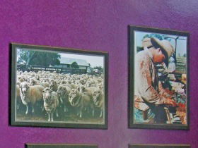 Charleville Photographic Display - Northern Rivers Accommodation 0