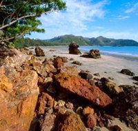 Diversity Boardwalk - Northern Rivers Accommodation