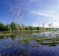 Tyto Wetlands - Northern Rivers Accommodation