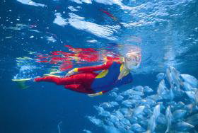 Outer Rocks Dive Site - Northern Rivers Accommodation 0