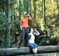 Birdwatching on the Fraser Coast - Northern Rivers Accommodation