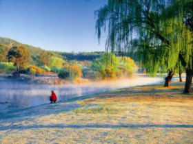 Quart Pot Creek - Northern Rivers Accommodation 0