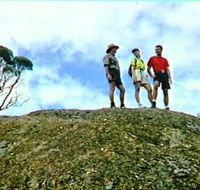 Coongarra Rock - Northern Rivers Accommodation