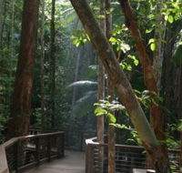 Basin Lake Track - Northern Rivers Accommodation