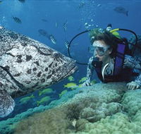 Pelorus Island - Northern Rivers Accommodation