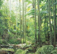 Python Rock - Northern Rivers Accommodation