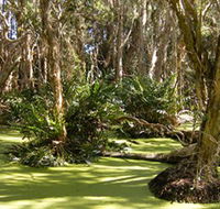 Arkarra Lagoons and Tea Gardens - Northern Rivers Accommodation
