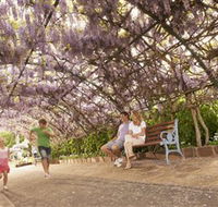 Laurel Bank Park - Northern Rivers Accommodation