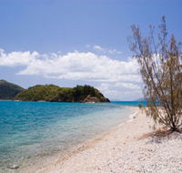 Paddle Bay Track and Campsite - Northern Rivers Accommodation