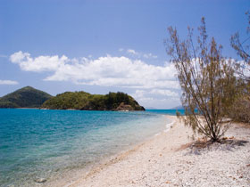 Paddle Bay Track And Campsite - Northern Rivers Accommodation 0