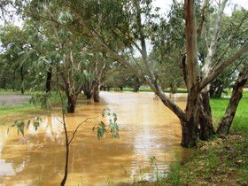 Saddliers Waterhole And Hamburg Creek - Northern Rivers Accommodation 0