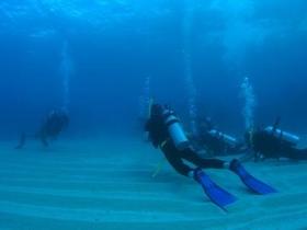 Egg Rock Dive Site - Northern Rivers Accommodation 0