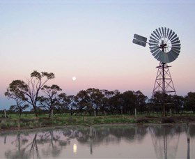 Moorrinya National Park - Northern Rivers Accommodation 0
