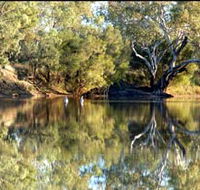 Welford National Park - Northern Rivers Accommodation