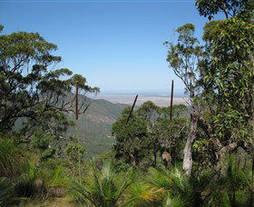 Zamia Walk - Northern Rivers Accommodation 0