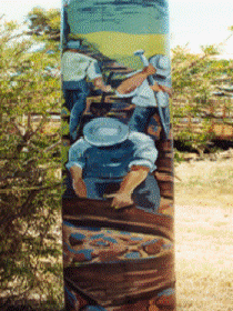 Alpha Murals - Northern Rivers Accommodation