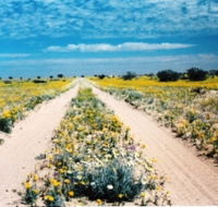 Birdsville Track - Northern Rivers Accommodation